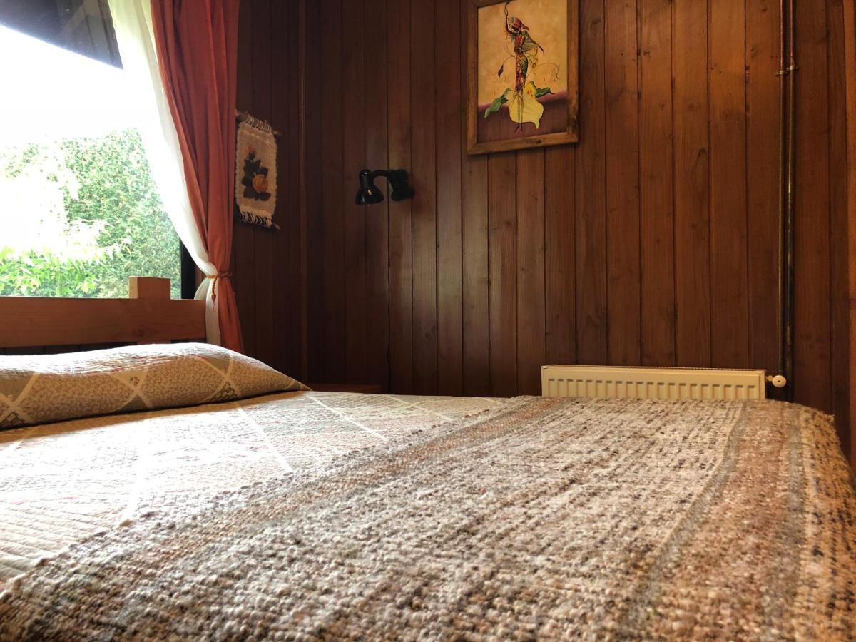Hostal El Nogal Pucón Buitenkant foto