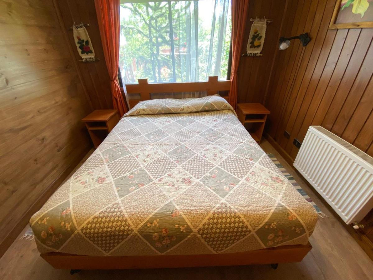 Hostal El Nogal Pucón Buitenkant foto