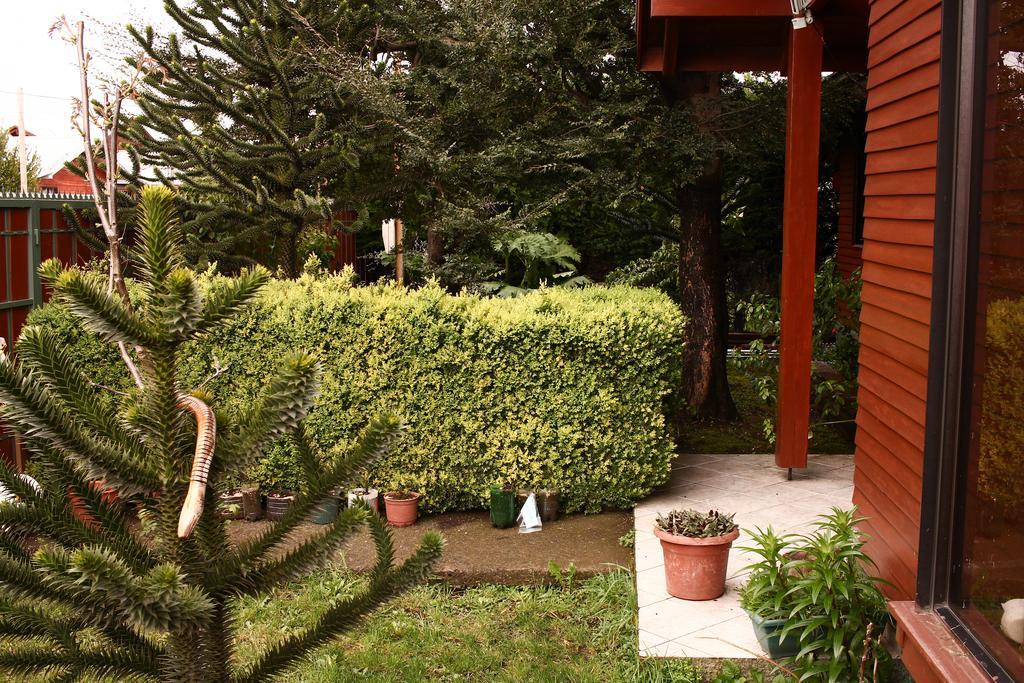 Hostal El Nogal Pucón Buitenkant foto